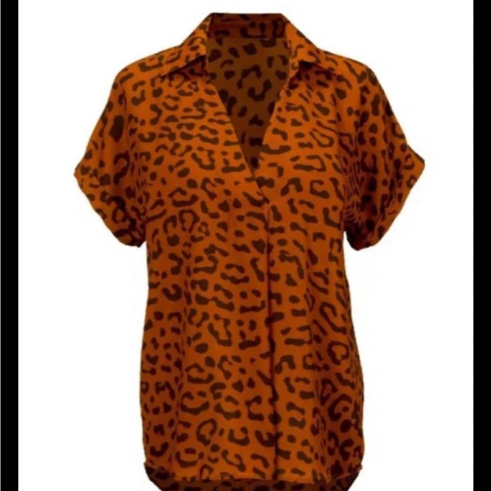 🧡 CAbi Leopard Print V-Neck Blouse - Orange and Brown